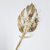 Fan Palm with Dried Flowers