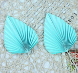 Paper Fan Decoration- 2pc set